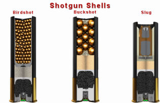 Shotshell